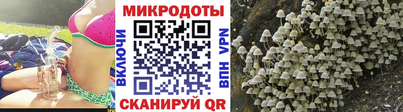 даркнет телеграм  Курск  Галлюциногенные грибы GOLDEN TEACHER 