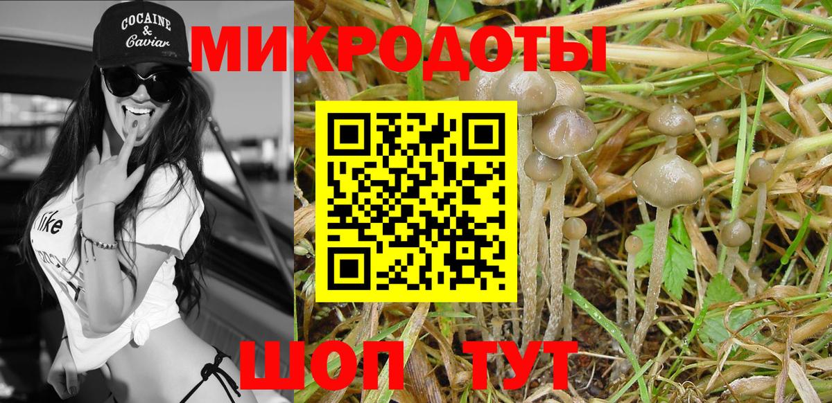 Курск  Галлюциногенные грибы мухоморы  Вход с VPN 