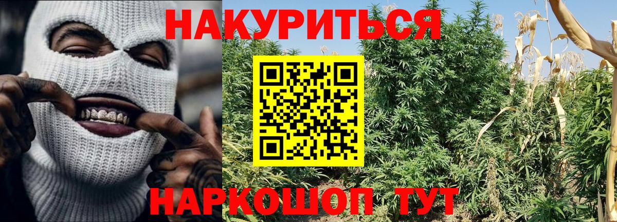 Шишки марихуана OG Kush Курск